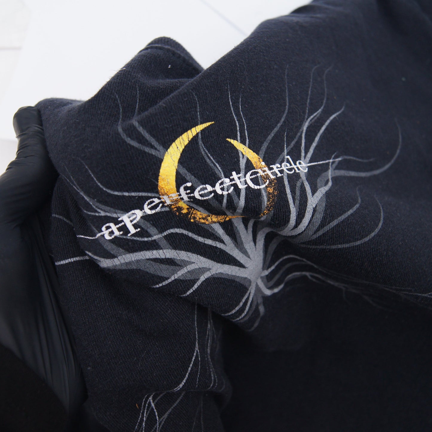 Vintage A Perfect Circle Anvil T-Shirt [L]