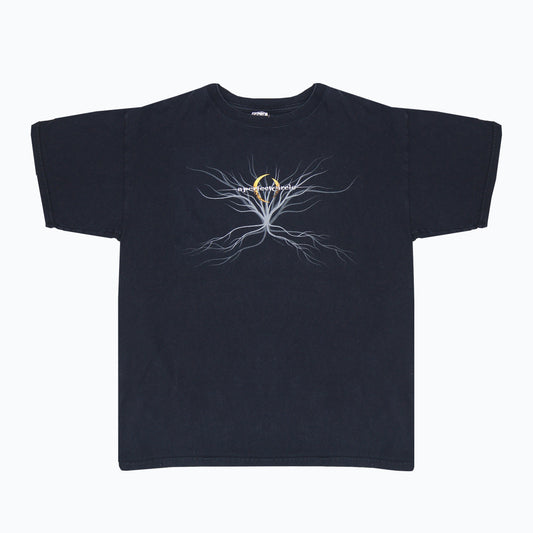 Vintage A Perfect Circle Anvil T-Shirt [L]